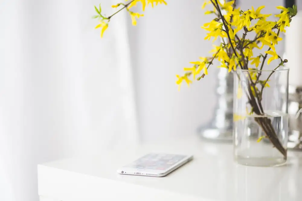 Apple Iphone 15
